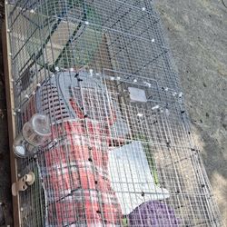 Cage For Guinea Pigs, Ferrets, Rodents