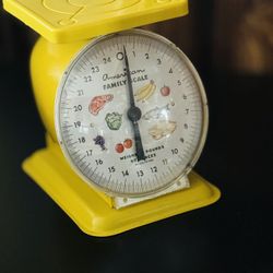 1960's American Family Scale 