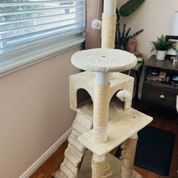 Cat tree very loved