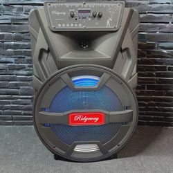 🔊✨ Ridgeway QS-8510 – 15” Party & Karaoke Speaker ✨