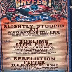 Bayfest - Sunday Ticker 