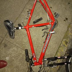 Cannondale Mountain Bike Frame And Fork