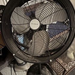 Fan 