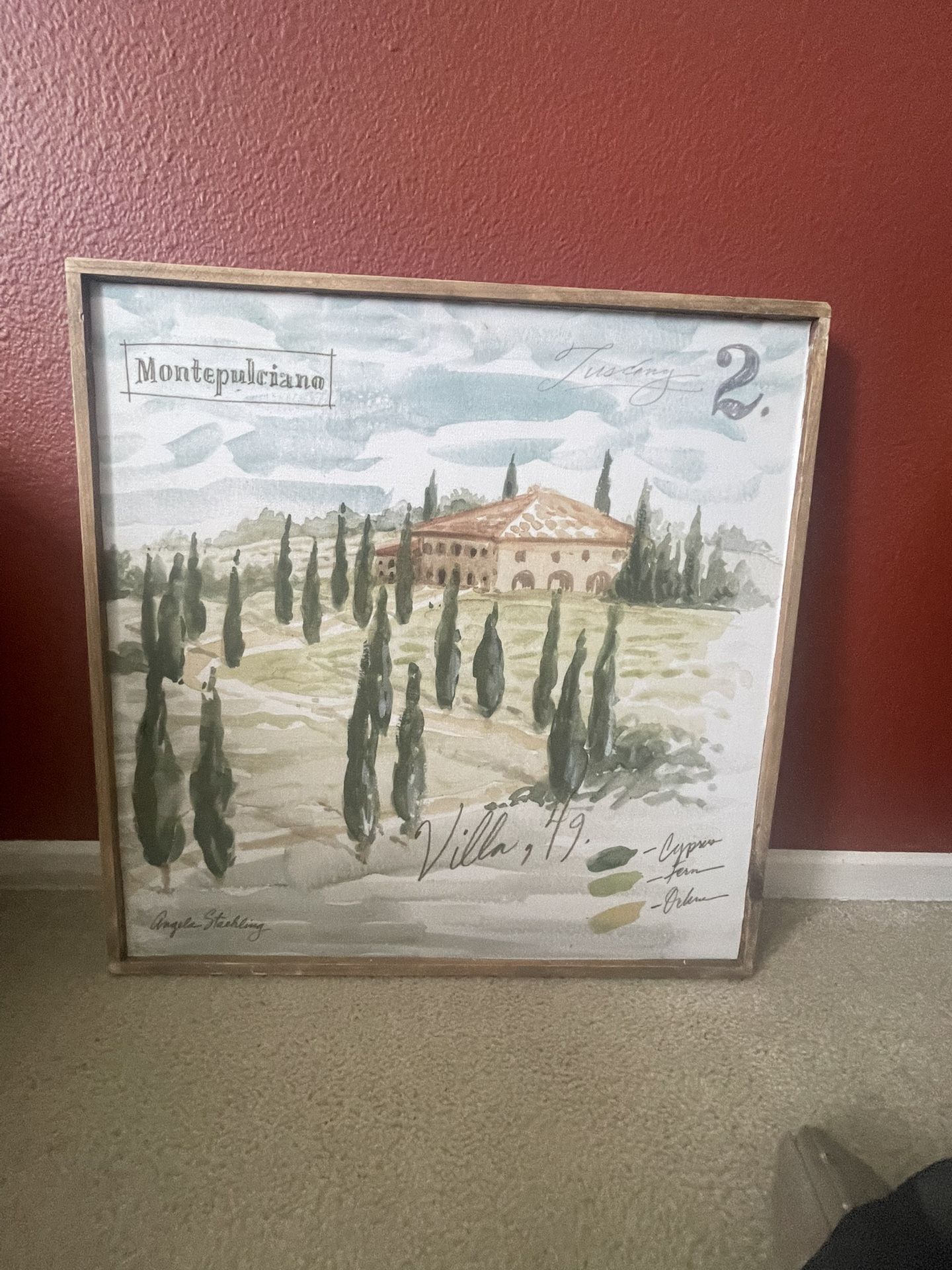 LANDSCAPE CANVAS 20” - $15