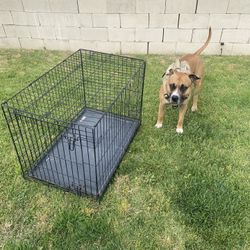 Medium Size Dog Kennel