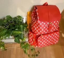 Bagpack For Sale