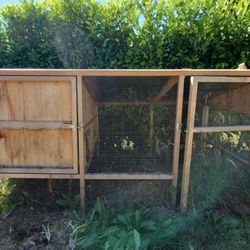 Chicken  House, Chicken Coup