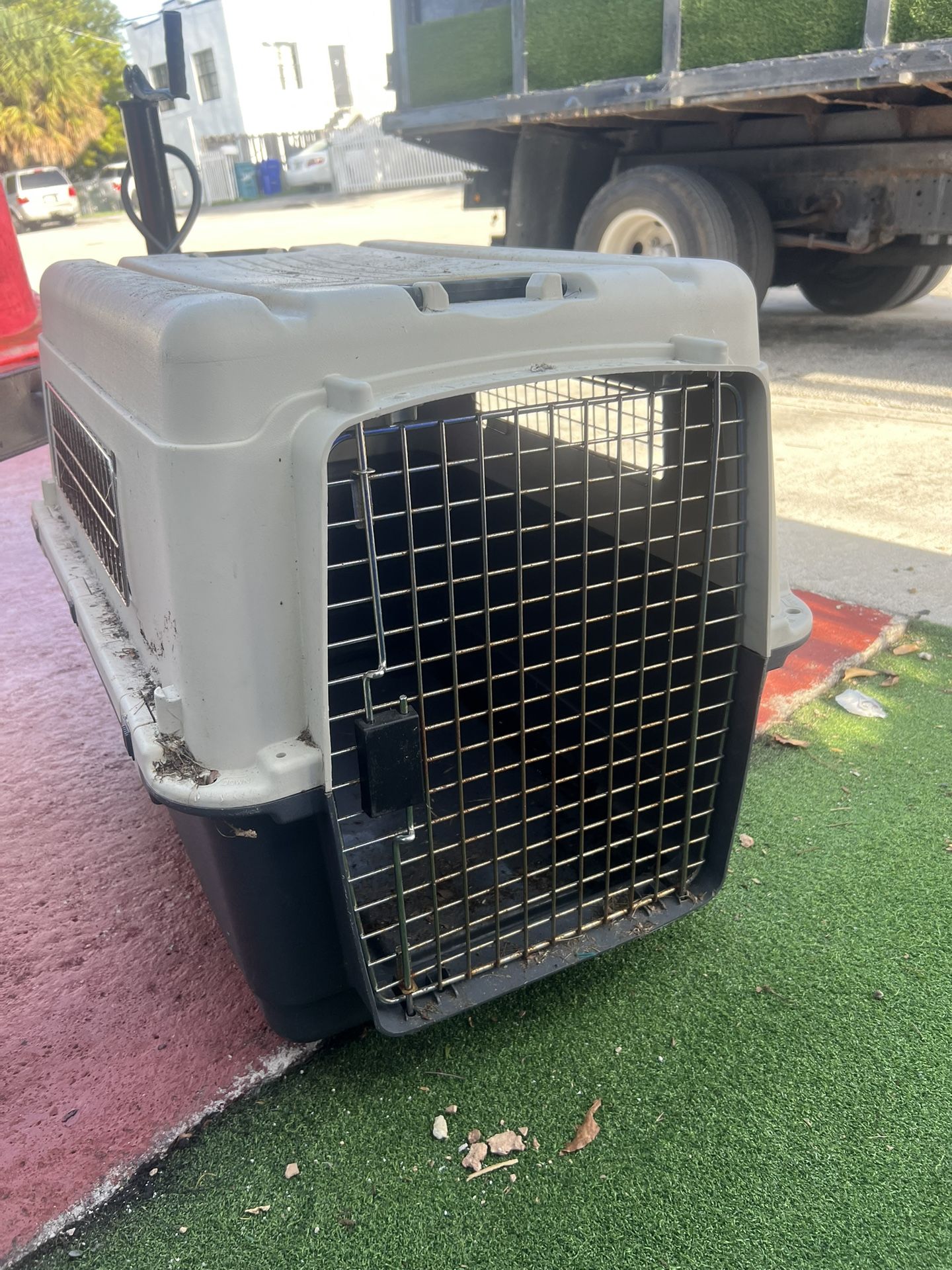 Dog Cage