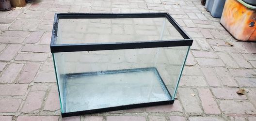 20 gallon aquarium