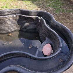 For Your Back Yeard Pond