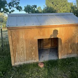 Dog House 