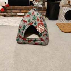 Cat Hut