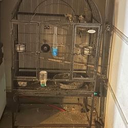 Cockatiels Cage 
