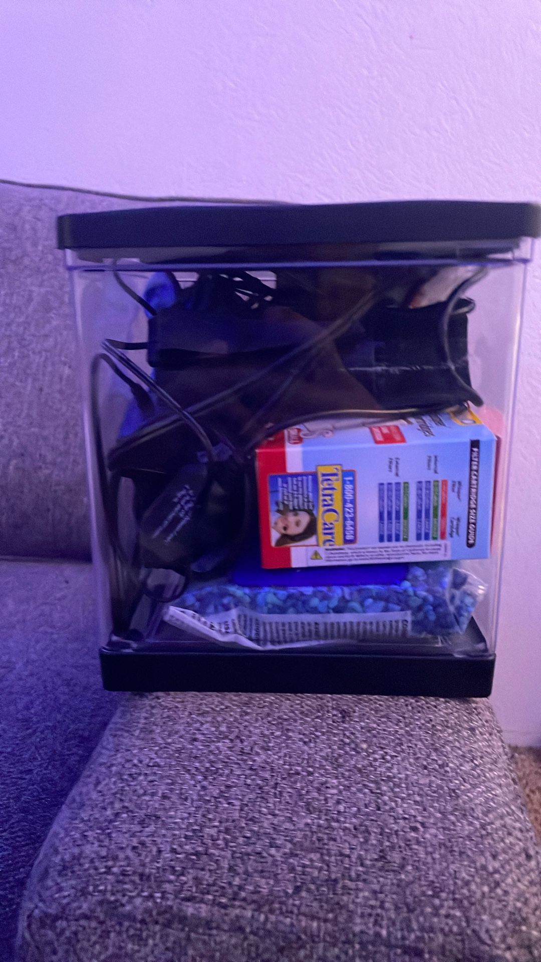 Beta Fish Set Up