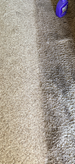 Carpet rug