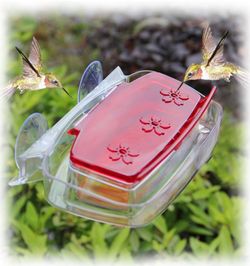 Window Mount Hummingbird Feeder