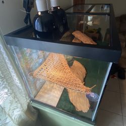 75 gallon fish tank and stand used with equipment for reptile