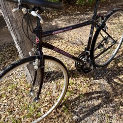 90s Classic: Schwinn CrissCross Hybrid | Fesh Tune-Up