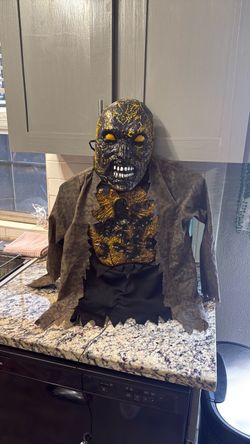 Halloween costume