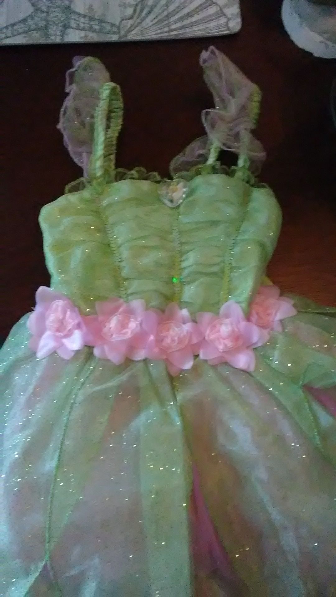Disney's Tinkerbell Gown XS4