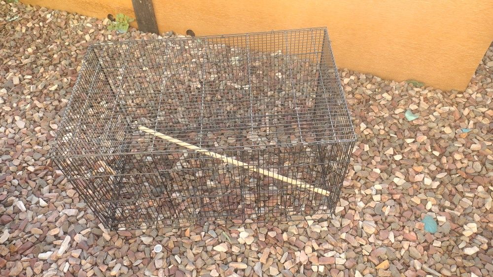 Bird Cage
