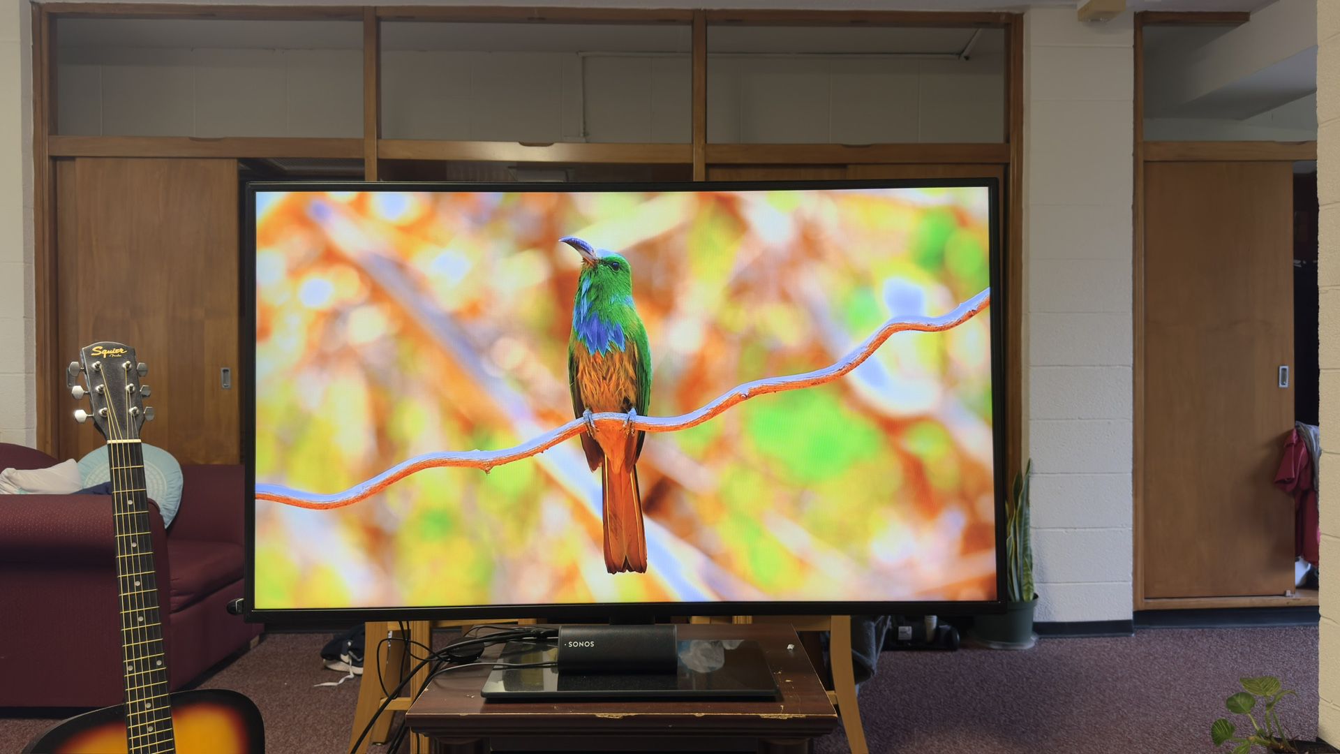 LG 49 inch TV Display for Sale