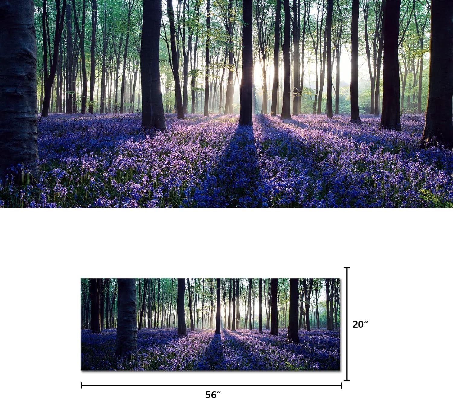 Canvas Wall Art 55” × 20” - Lavender Sunshine through the Forest