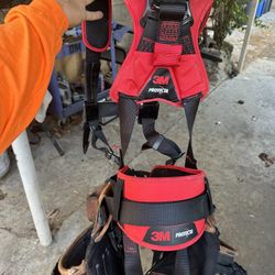 Harness For Sale