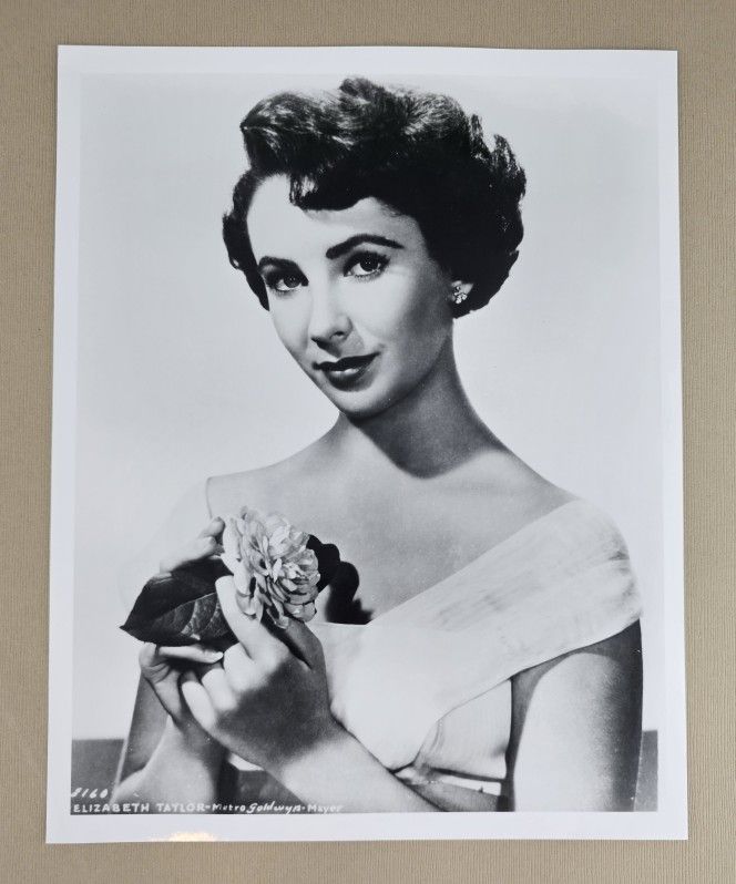 Elizabeth Taylor in Dress Portrait Black & White Photo
