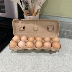 Farm fresh Eggs