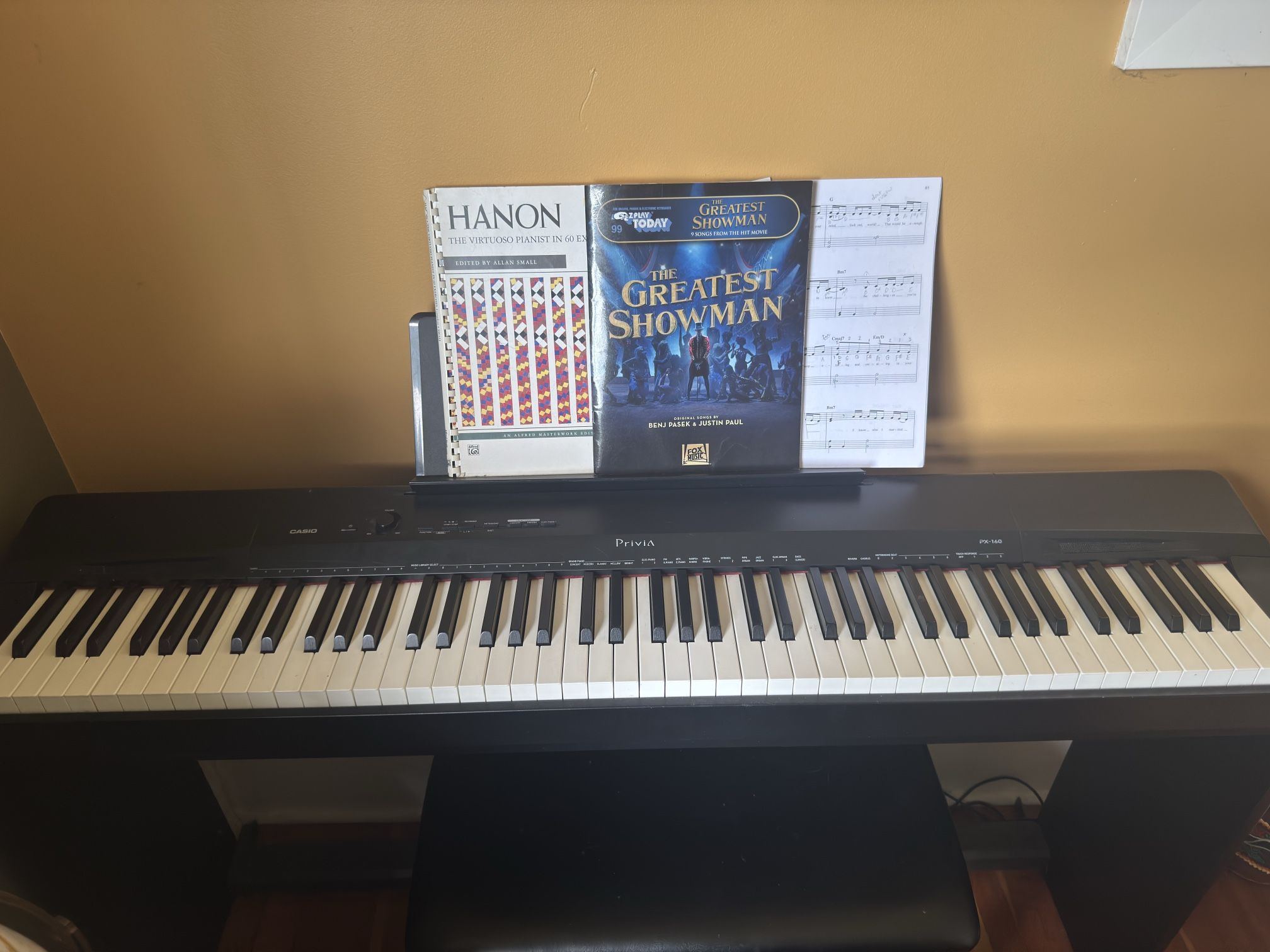 Casio Privia Plug in Piano