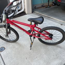 Boys 20 Inch Bike