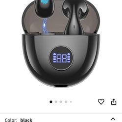 Language Translation Earbuds 
