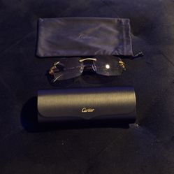 Buffalo Horn Designer Glasses