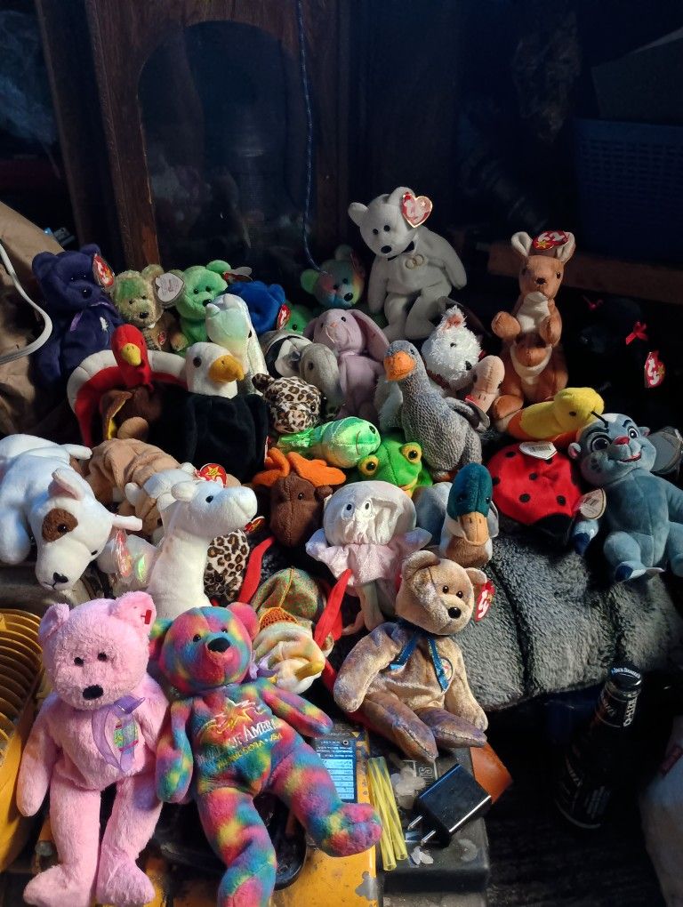 My Beanie Babies Collection