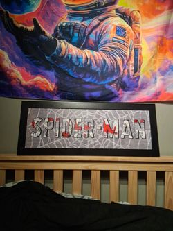 Spider Man Frame