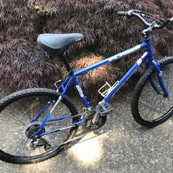 Bike 26”