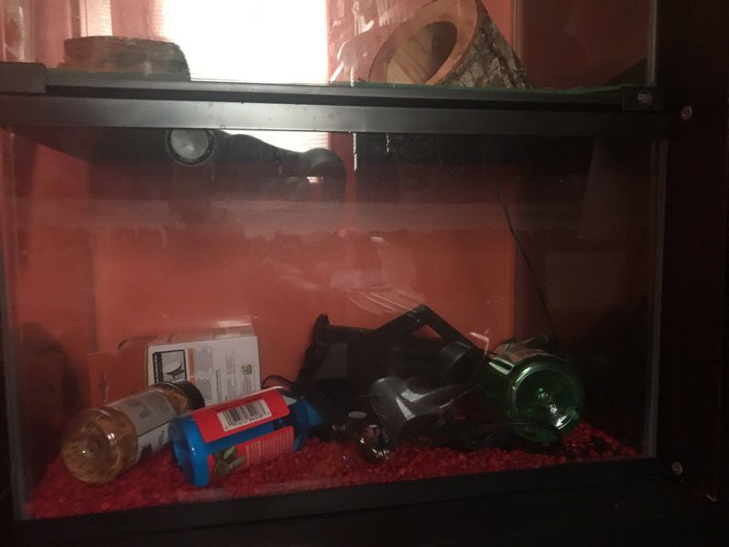 1 fish tank and reptile tank comes with light and filter