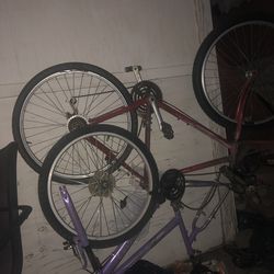 Bikes for sale