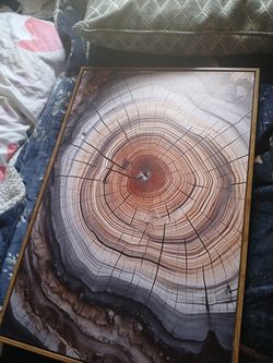 It's a picture of a tree stump