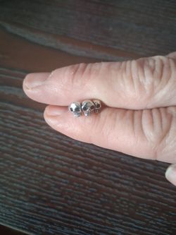Skulls nose or earring