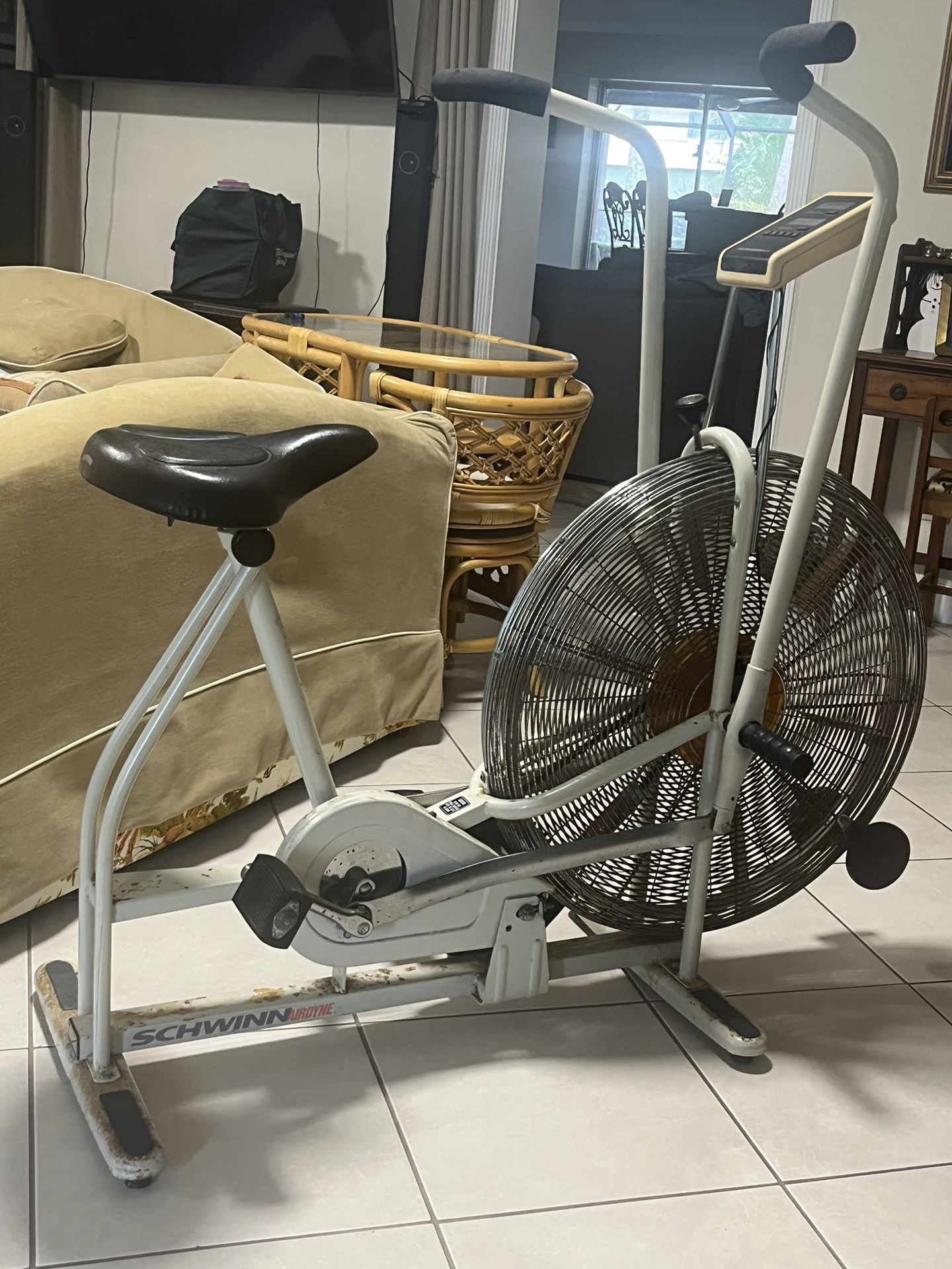 Schwinn Airdyne Exercise Bike