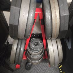 Gym Equipment 