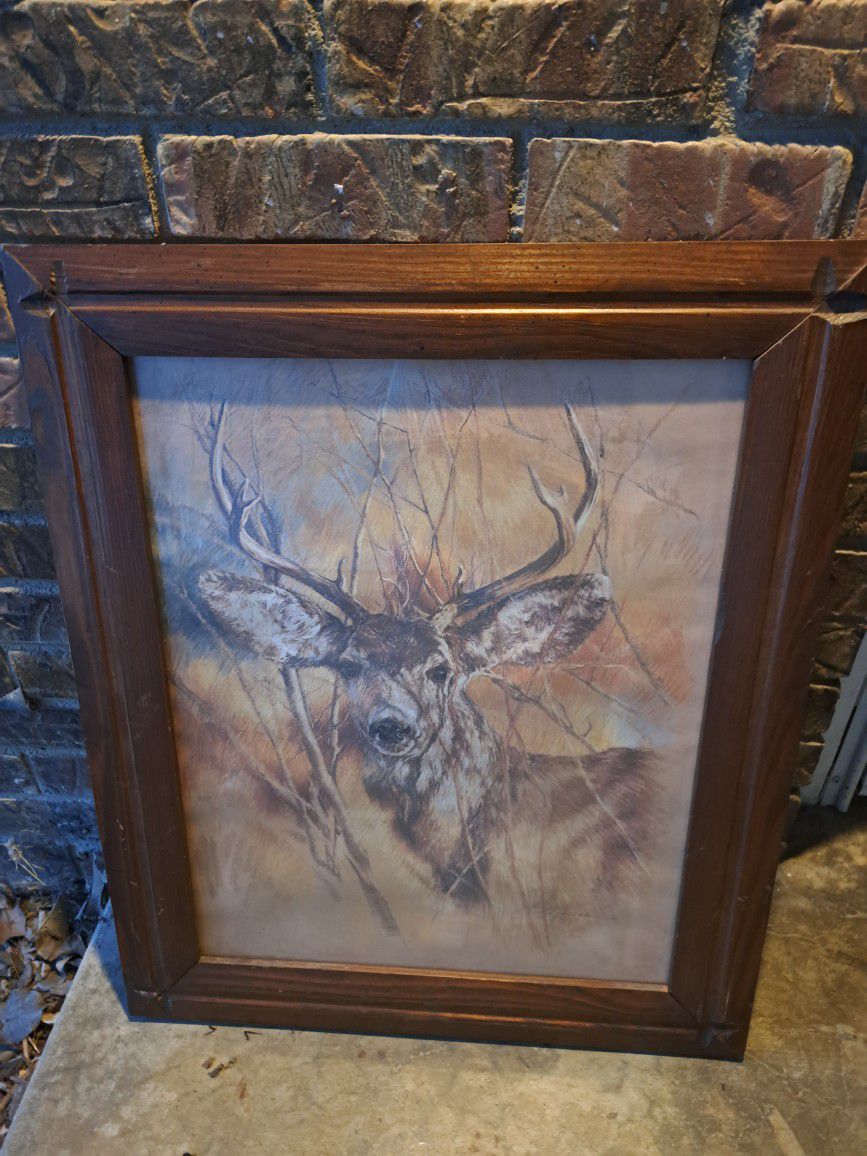 Vintage Deer print The Silent Buck By K Maroon 1978 Framed Wall Art 