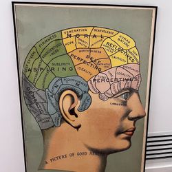 Huge Phrenology Framed Print 5’ 6” x 3’ 7” A Picture Of Good Health 