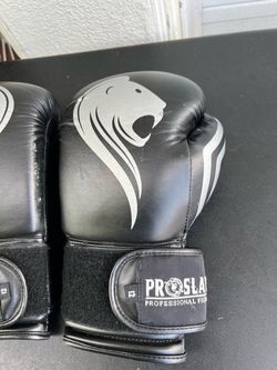 Pro Slayer Boxing Gloves, 12 ounces
