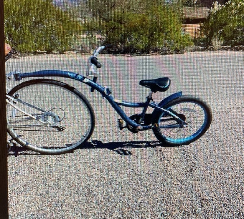 EVO Traela Tag along Bike Trailer Not a Weehoo