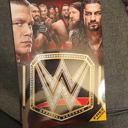 WWE OFFICIAL PROGRAM 2015