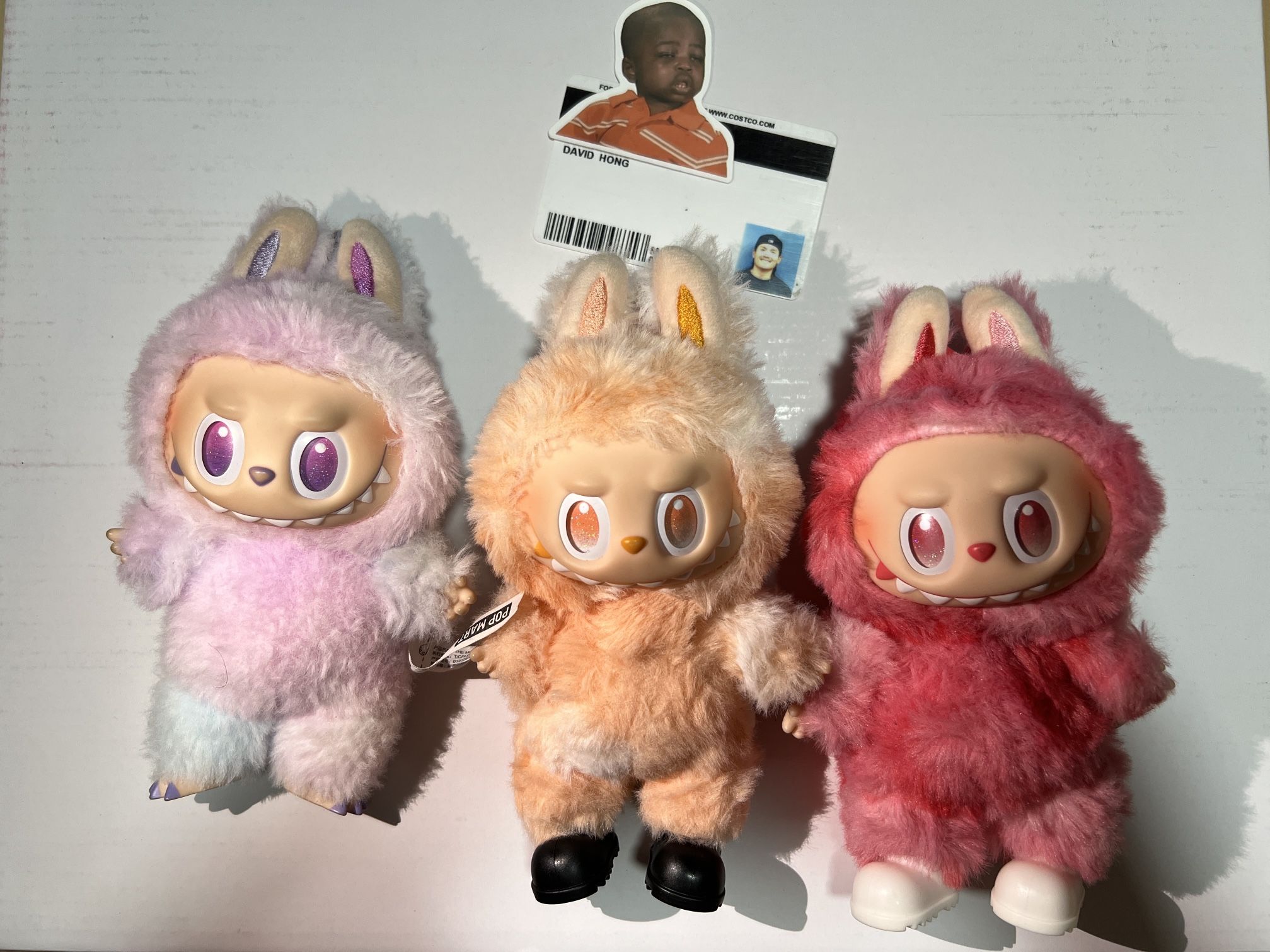 Labubu Authentic 