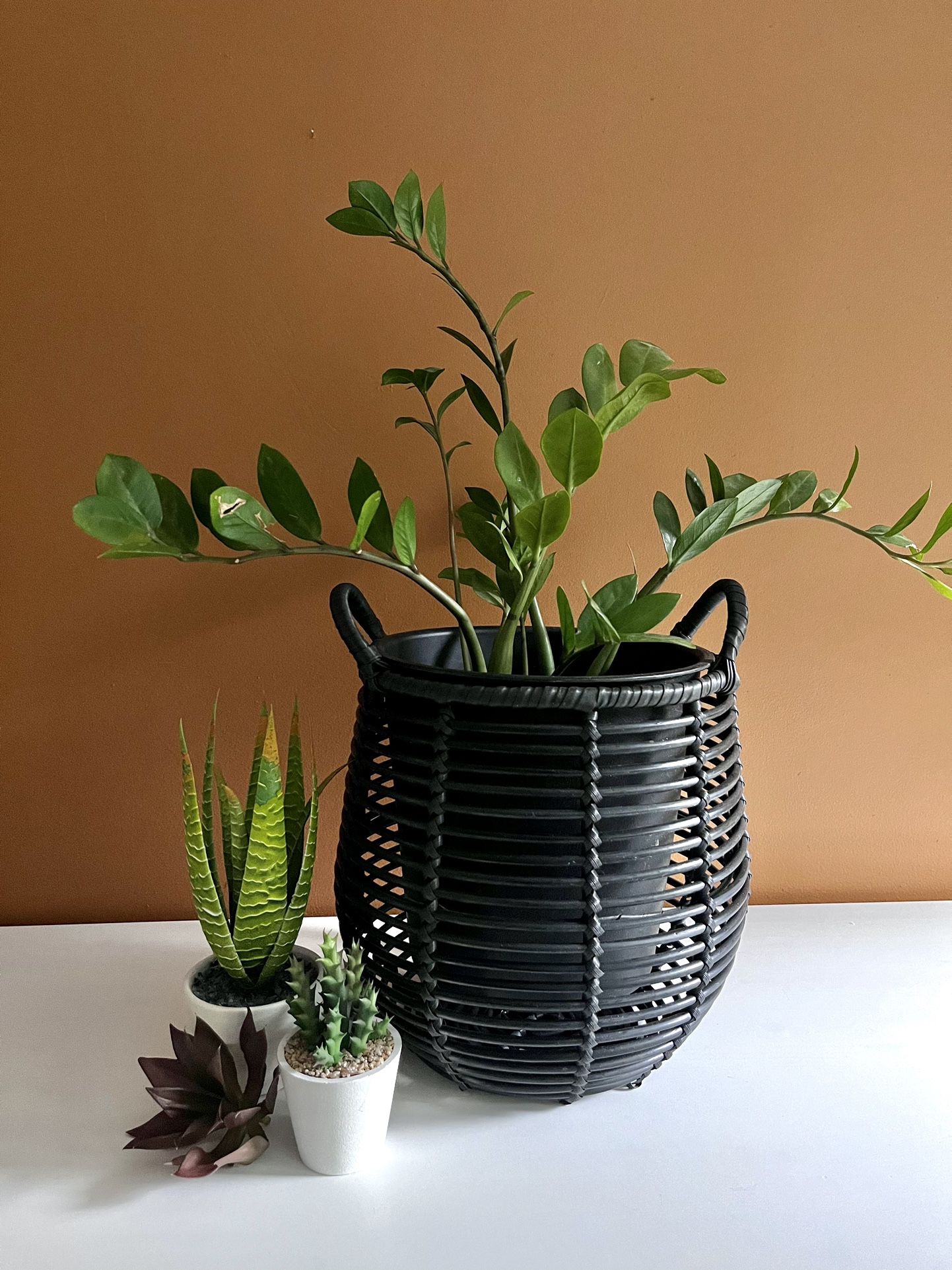 Modern Faux Wicker Plant Pot Black Woven Blanket Basket Plant Holder